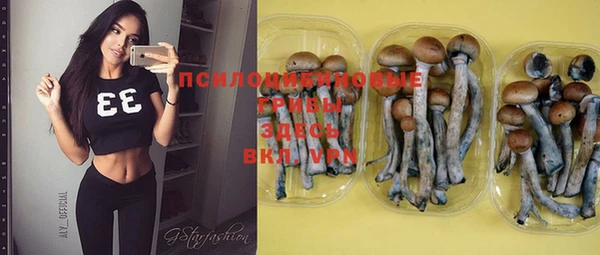 mix Белокуриха
