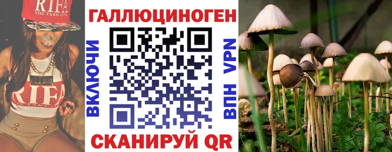 Псилоцибиновые грибы Psilocybe Славгород